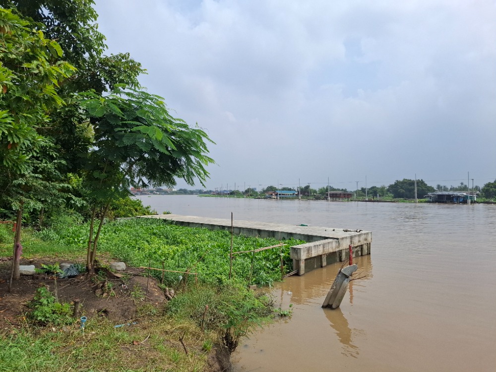 ขายที่ดินนนทบุรี บางใหญ่ บางบัวทอง : ที่ดินติดแม่น้ำเจ้าพระยา