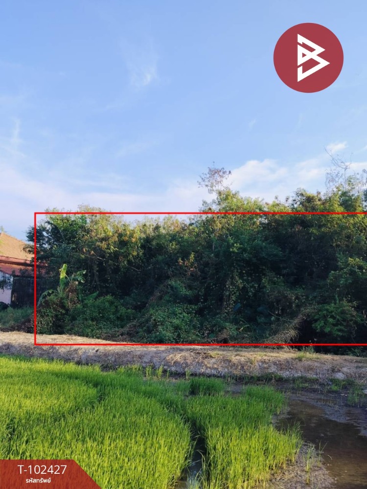 For SaleLandSuphan Buri : Land for sale, area 117 square wah, Sanamchai, Suphanburi