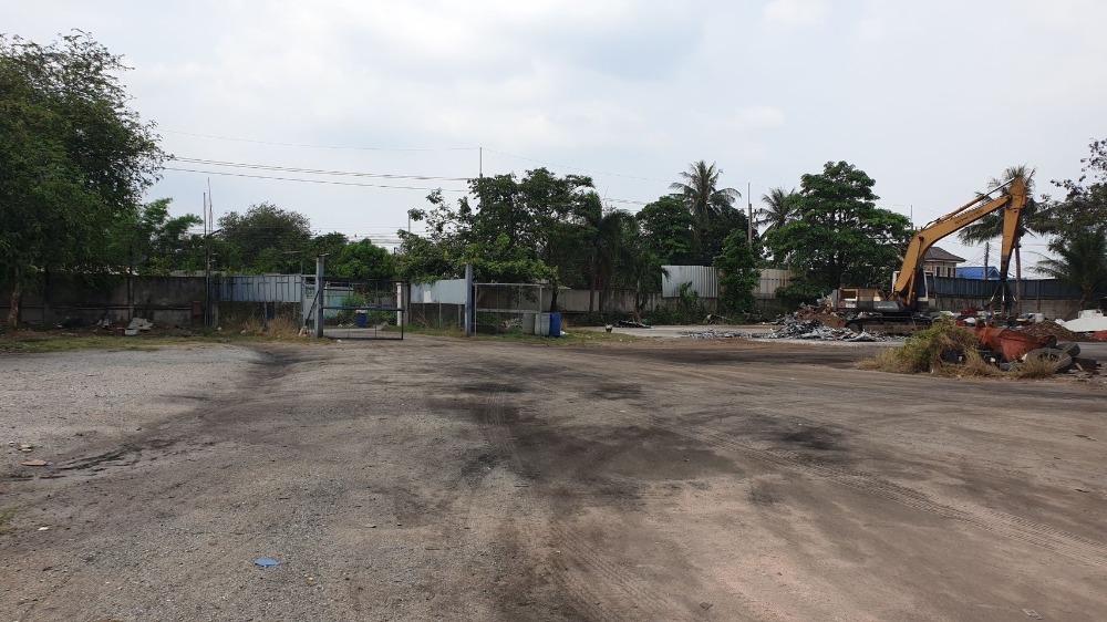 For SaleLandPattaya, Bangsaen, Chonburi : Land Tambon Nong Ri Amphoe Muang / (SALE) AA188