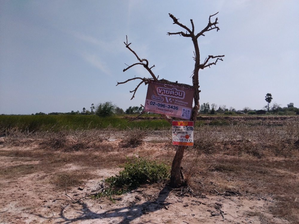 For SaleLandKorat Nakhon Ratchasima : 12 rai of vacant land, Kut Phiman Subdistrict, Dan Khun Thot District, Nakhon Ratchasima Province