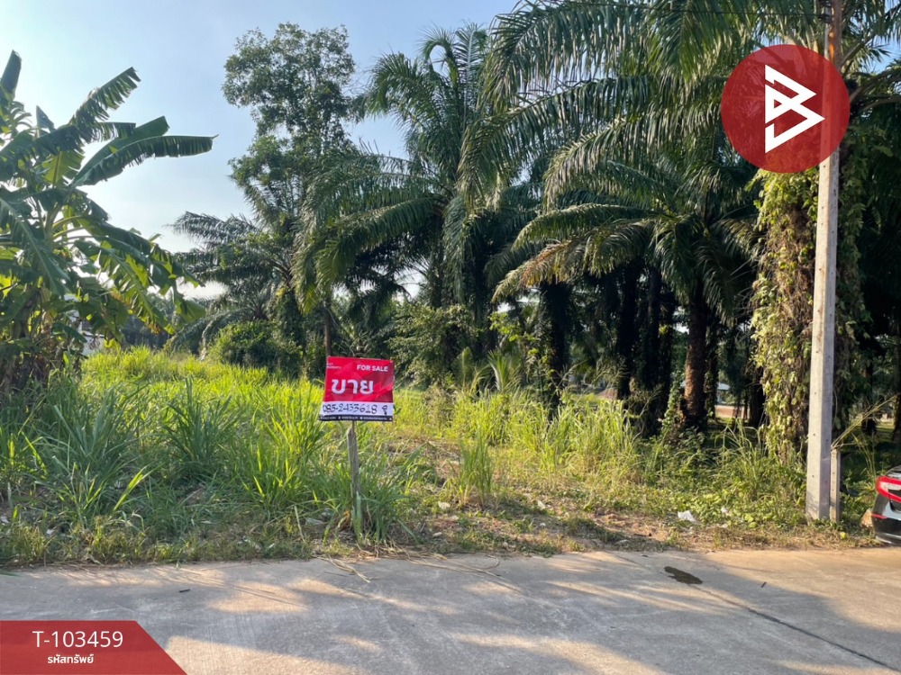 For SaleLandChumphon : Urgent sale of land, 78 square wah, Talat Than Sae, Chumphon