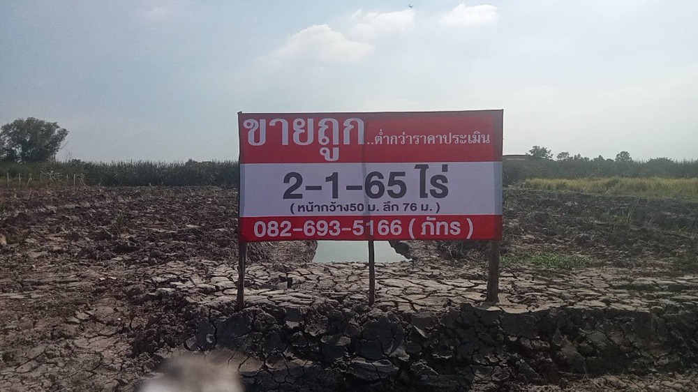 ขายที่ดินปทุมธานี รังสิต ธรรมศาสตร์ : ขายต่ำกว่าราคาประเมิน! ที่ดิน เพียง 1 กม. จากถนนคลองหลวง ขนาด 2-1-65 ไร่