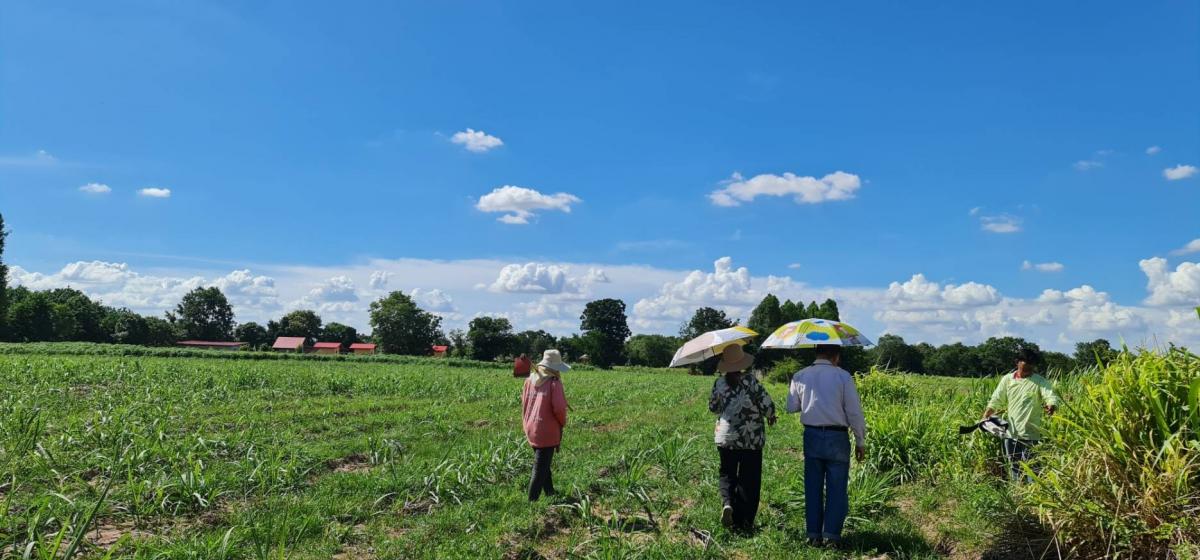 For SaleLandKorat Nakhon Ratchasima : Land for sale, 18 rai, wide frontage, can be used as a gas station, located on main road 2256 Huai Bong, Dan Khuntod, Korat