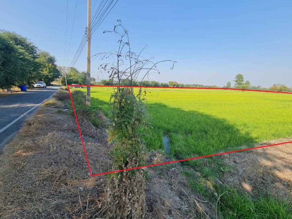 For SaleLandChai Nat : #Selling 2 adjacent plots of vacant land, total area 38-1-48 rai (sold separately, each plot is 19 rai 74 sq w.) #On Phahonyothin Road #T. Suea Hok #A. Mueang Chai Nat #Chai Nat Province