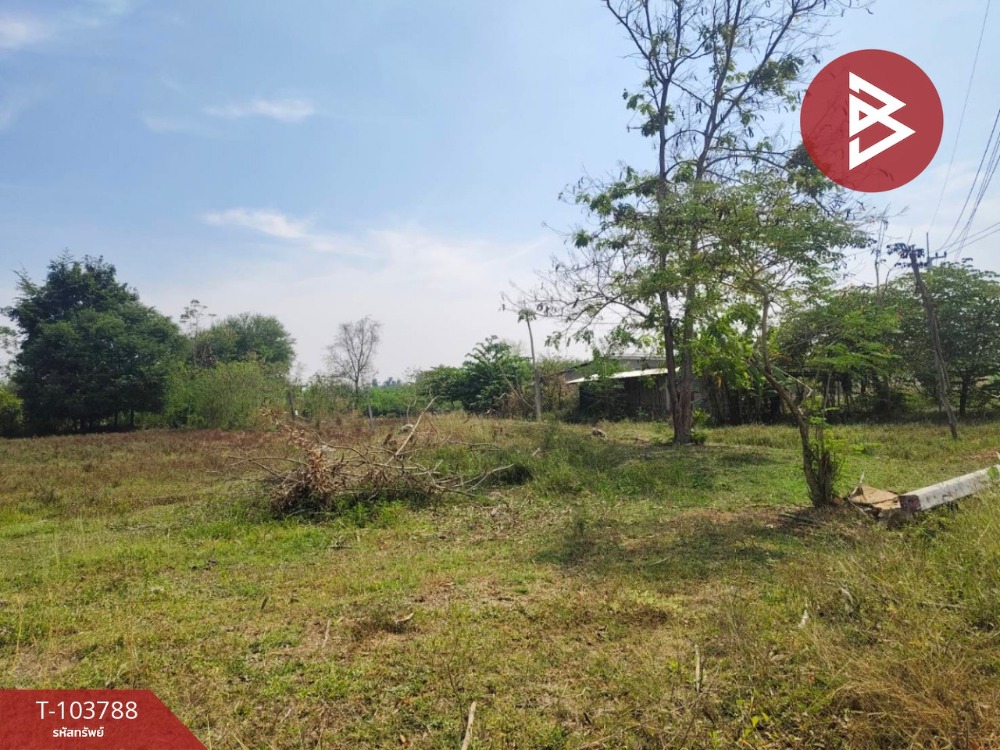 For SaleLandRatchaburi : Land for sale, area 4 rai 1 ngan 25 sq m, Photharam, Ratchaburi