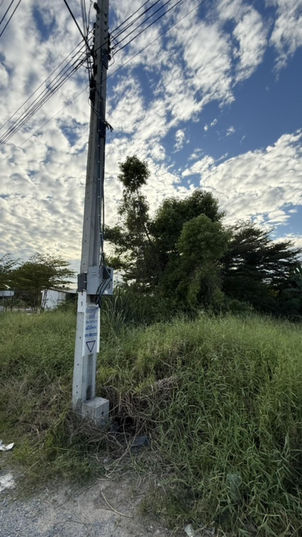 For SaleLandLadkrabang, Suwannaphum Airport : Vacant land 200 square wa, Soi Khumklao 50, Lat Krabang District, Bangkok.