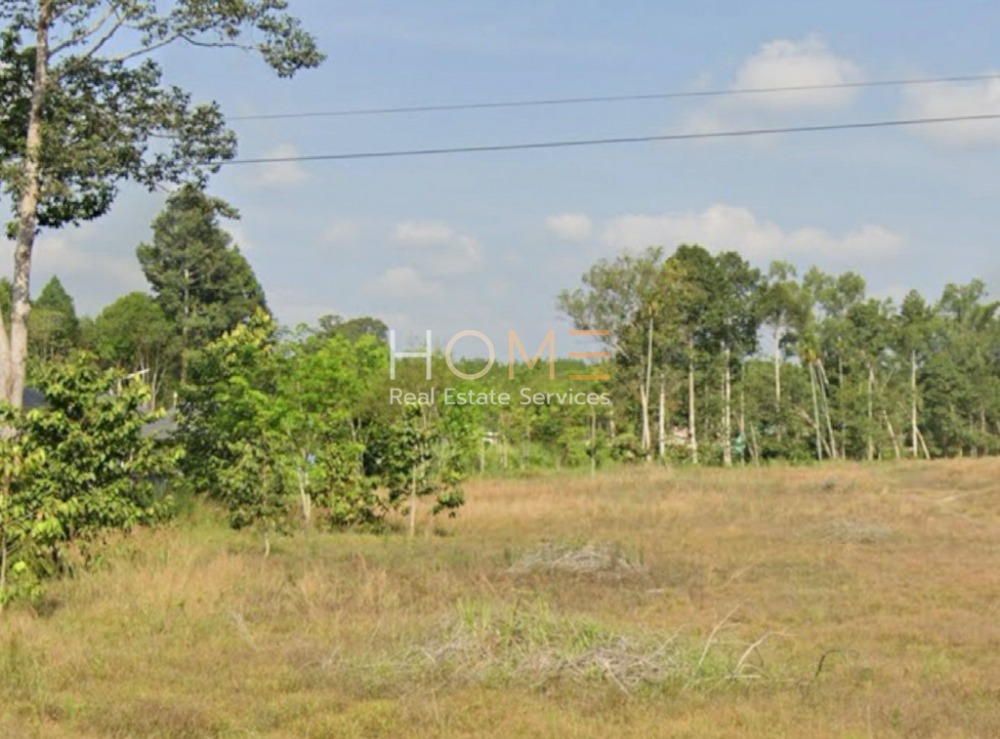 For SaleLandRayong : Land Purple Zone Nikhom Phatthana / (SALE) NEWC376