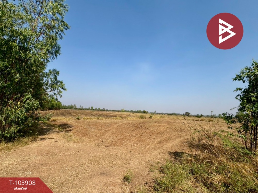 For SaleLandNakhon Sawan : Land for sale, area 10 rai, Tha Tako, Nakhon Sawan