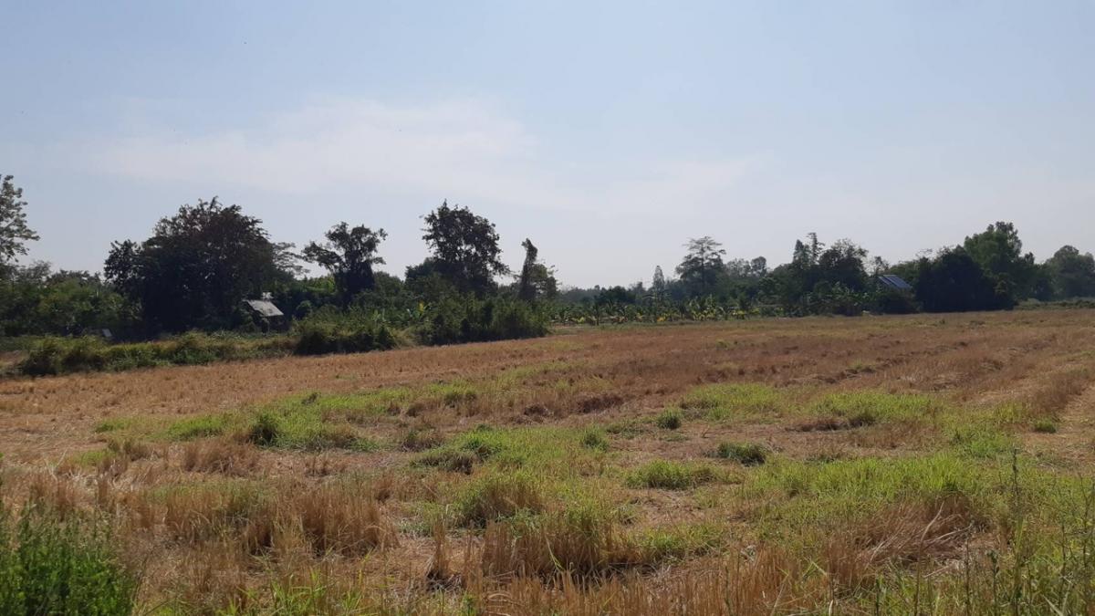 For SaleLandKhon Kaen : ❤️❤️Land for sale, Sila Subdistrict, Mueang District, Khon Kaen Province, size 3 rai, 2 ngan, 44.7 sq.w., selling for 1.4 million baht per rai, 3,500 baht per sq.w., width 35 meters, can be divided or moved, suitable for housing development, building a ho