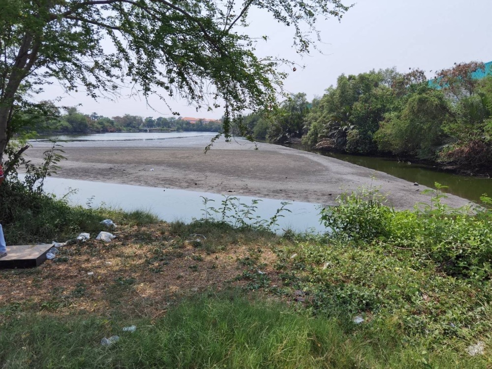 For SaleLandRama 2, Bang Khun Thian : Land for sale on the main road, Soi Saem Dam, 16 rai