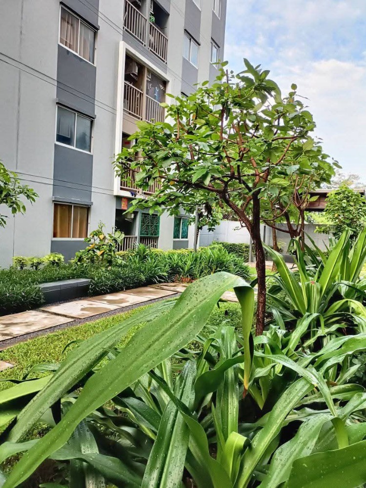 ขายคอนโดปทุมธานี รังสิต ธรรมศาสตร์ : ( 18400 ) The Point Condo Rangsit - Klong 6