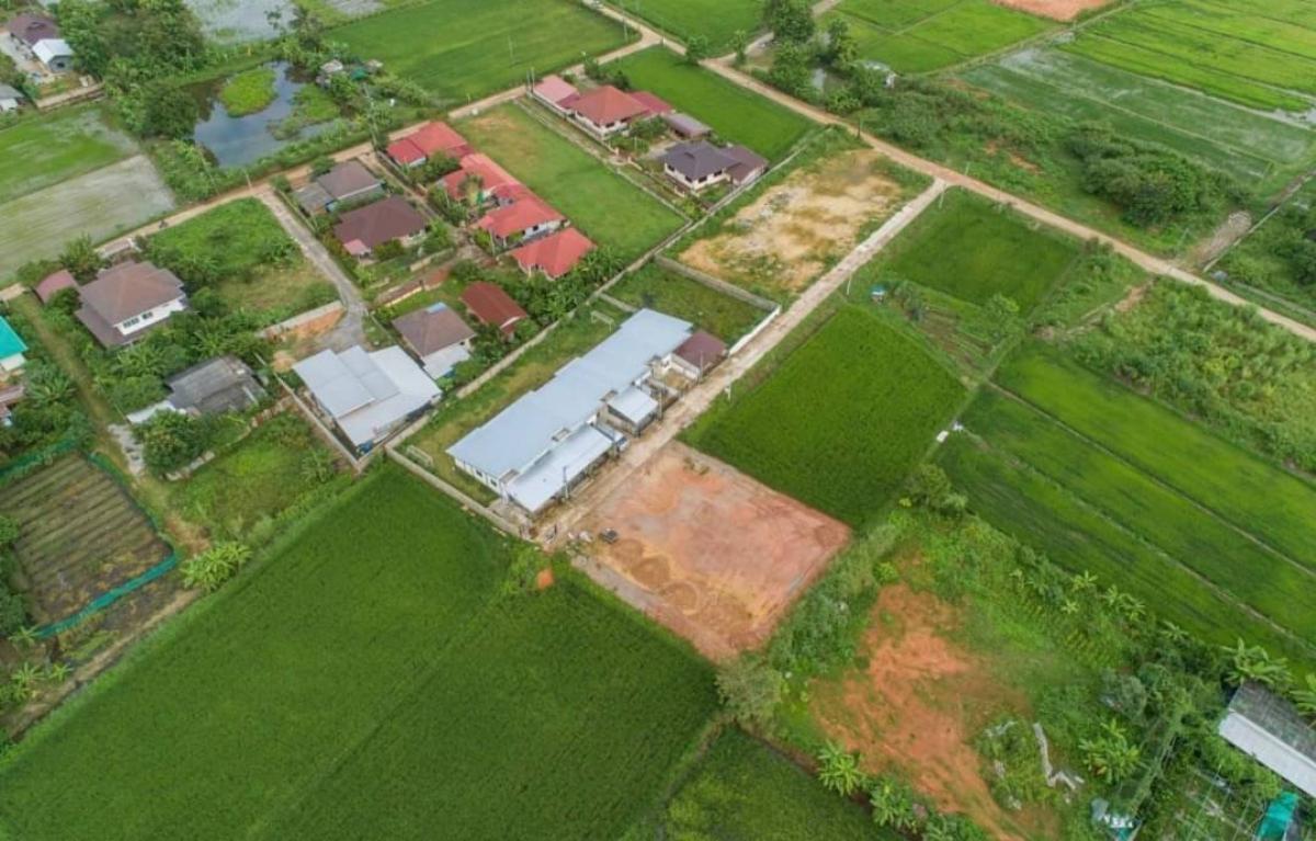 For SaleLandChiang Rai : Two ngan land for sale in Chiang Rai city