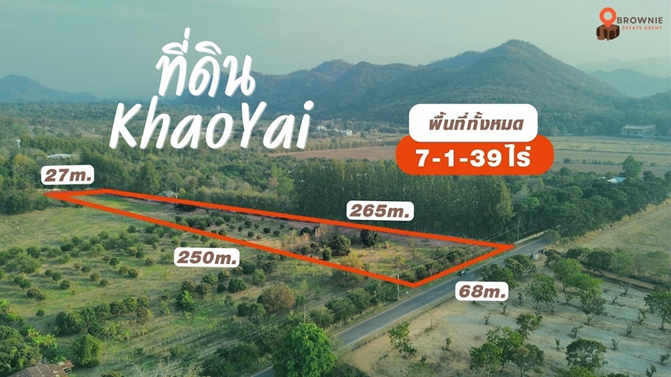 ขายที่ดินโคราช นครราชสีมา : ที่ดินเขาใหญ่ หนองน้ำแดง 7 ไร่ 1 งาน 39 ไร่ หน้ากว้าง 6 ที่ดินสวยใกล้ถนนมิตรภาพ ใกล้มอเตอร์เวย์ (M6)วิวสวยด้วย