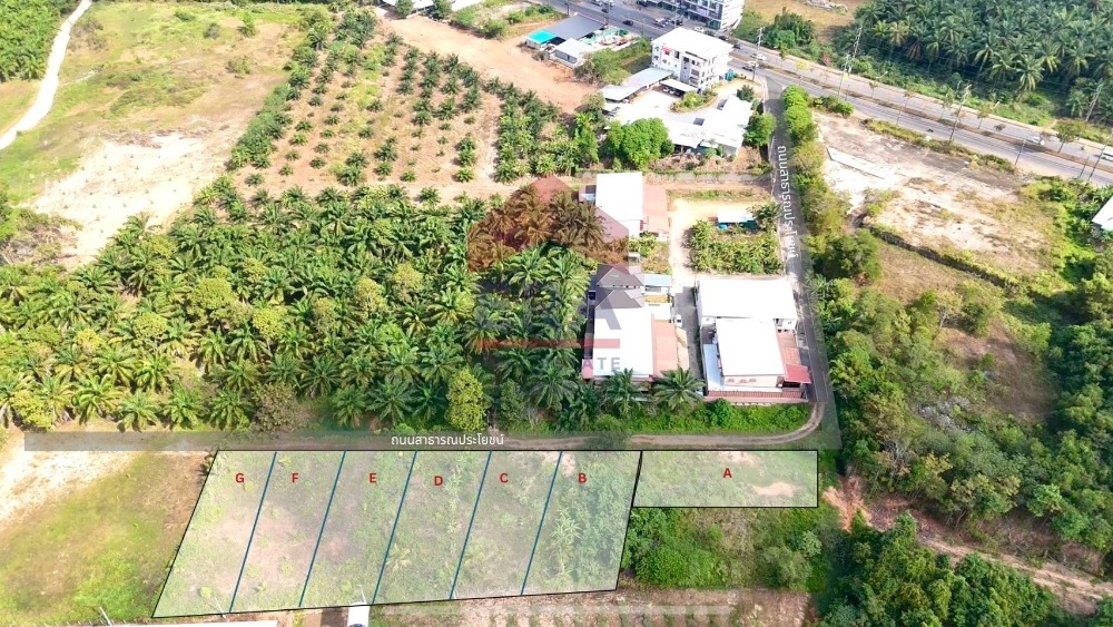 For SaleLandKrabi : Land for Sale Near Central Krabi