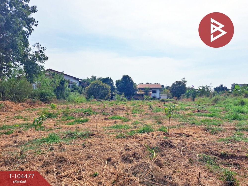 For SaleLandChai Nat : Land for sale, area 87.2 sq.wa, Ban Kluai, Chainat