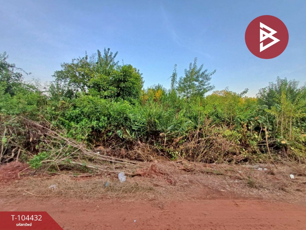 For SaleLandSamut Songkhram : Land for sale, area 9 rai 3 ngan 84 square wa, Lat Yai, Samut Songkhram