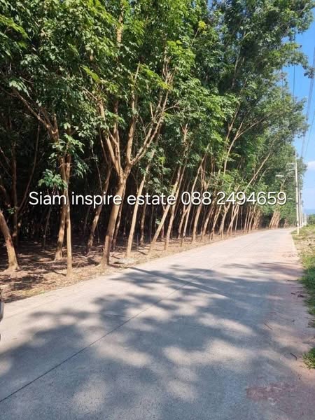 For SaleLandRayong : A large land for sale   Located pluak dang , Rayong  - 200 rai yellow zone