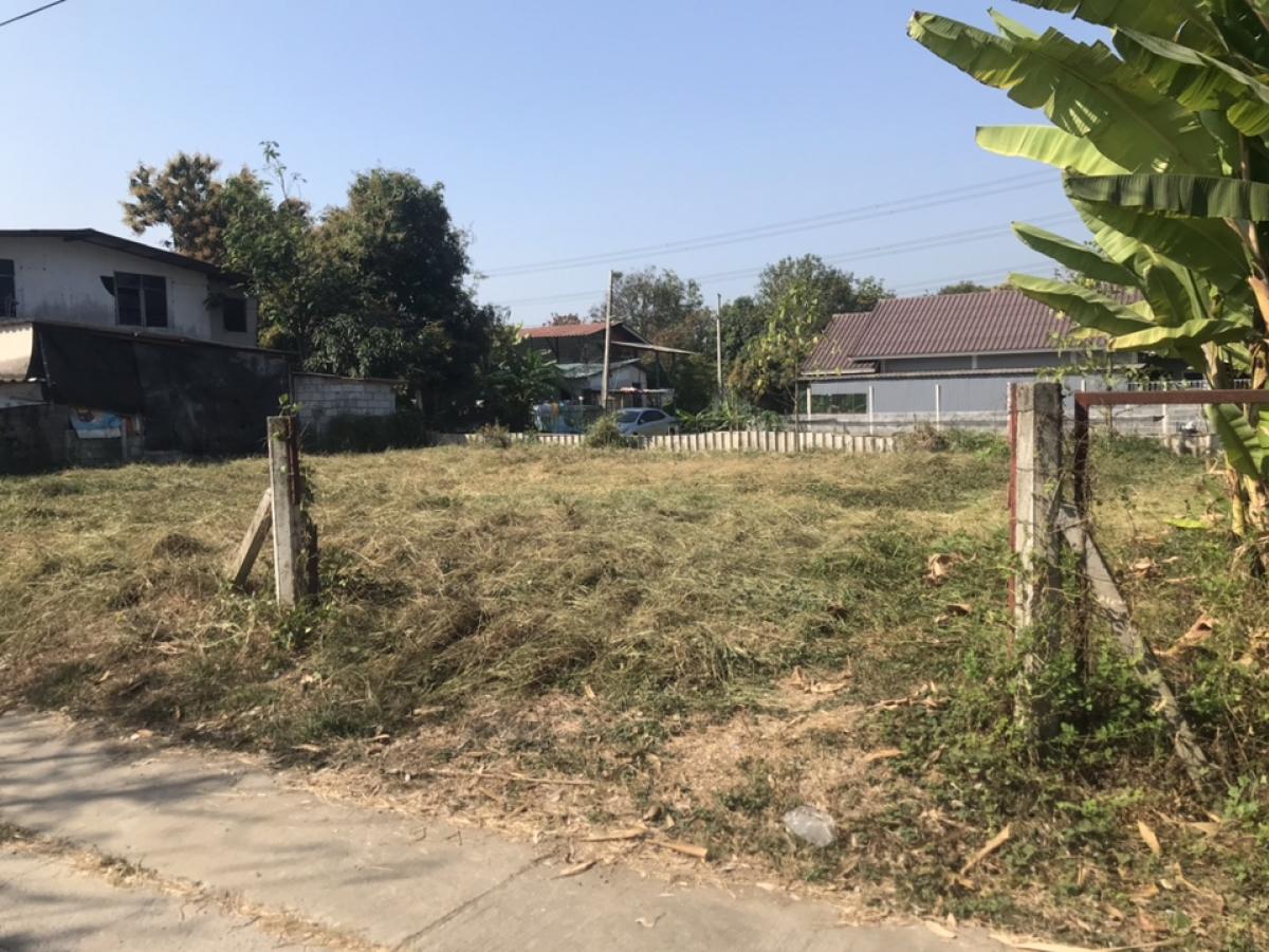 For SaleLandNonthaburi, Bang Yai, Bangbuathong : Land for sale in the Pikmai 5 project, area 104 sq m, shady and peaceful, suitable for retirement living.