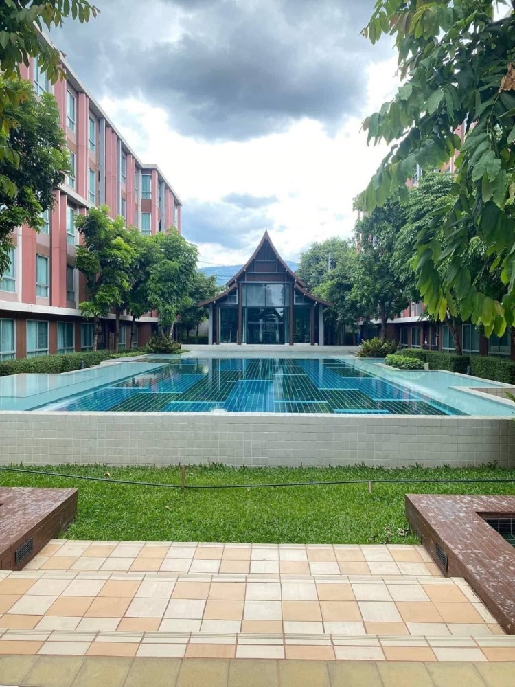 For RentCondoChiang Mai : Rent Condo D Vieng Santitham 37 sq m. 1 bedroom 13,000 / month, 1 year contract