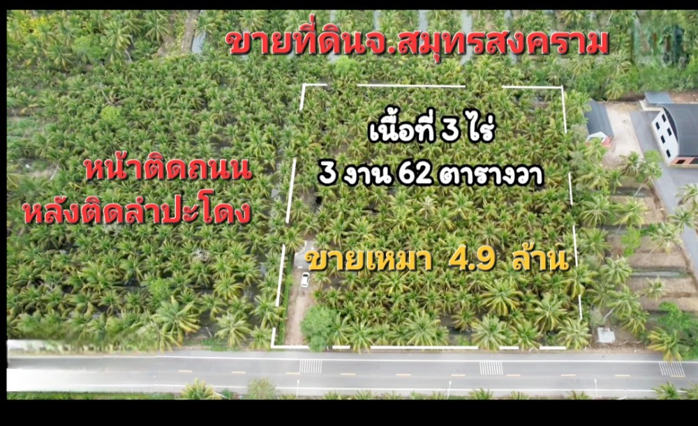 ขายที่ดินสมุทรสงคราม : ☀️ขายที่ดินสวนมะพร้าวเหมา​ ​4.9ล้าน​เกือบ4ไร่☀️หน้าติดถนนลาดยาง☀️หลังติดลำปะโดง☀️ที่สวย☀️เจ้าขายเอง☀️ฟรีโอน