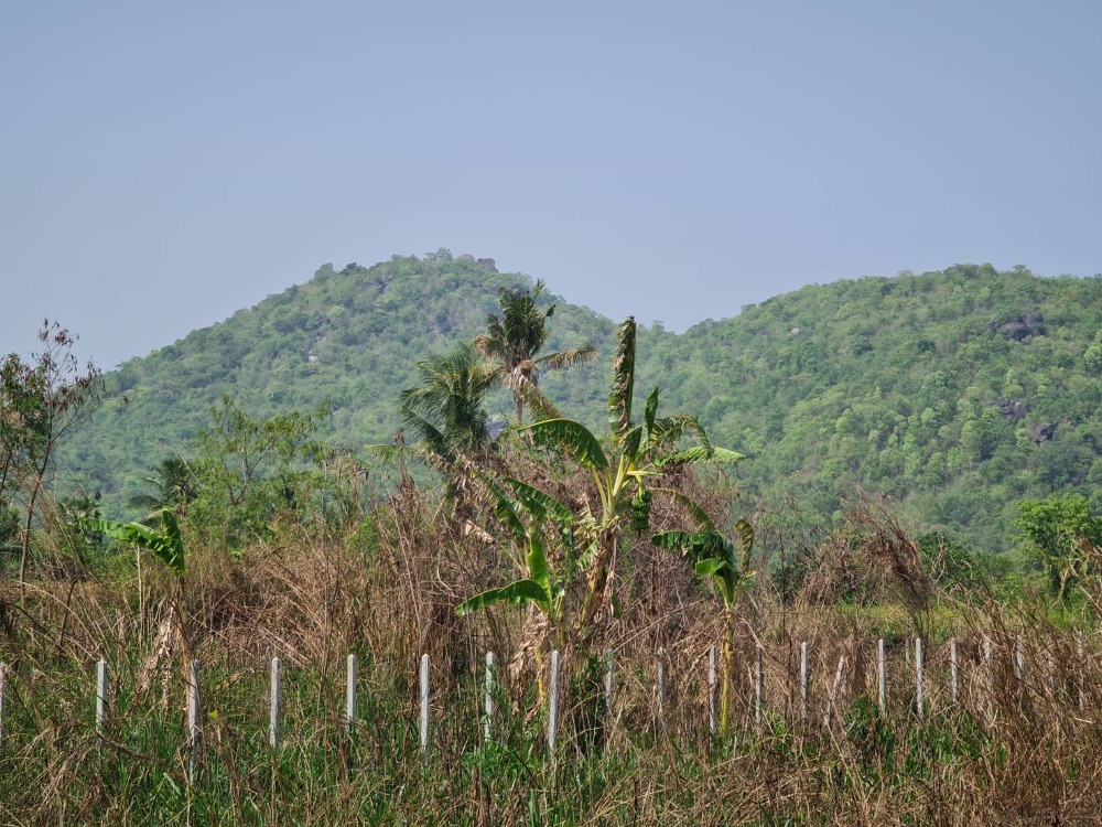 For SaleLandHuahin, Prachuap Khiri Khan, Pran Buri : Land for sale, Hua Hin, Krut Daeng, mountain view, price lower than market, on 3 sides of the road, Prachuap Khiri Khan Province