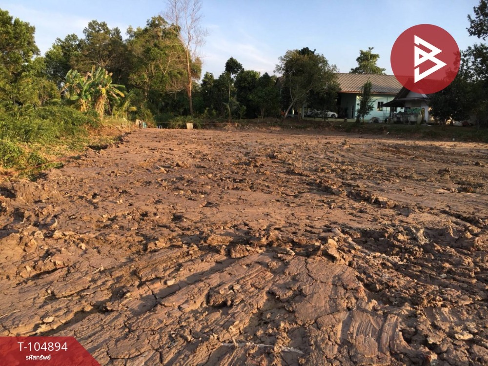 For SaleLandTrat : Land for sale at 4 Rai 1 ngan 38 square wah, Wang Kracha Trat Subdistrict