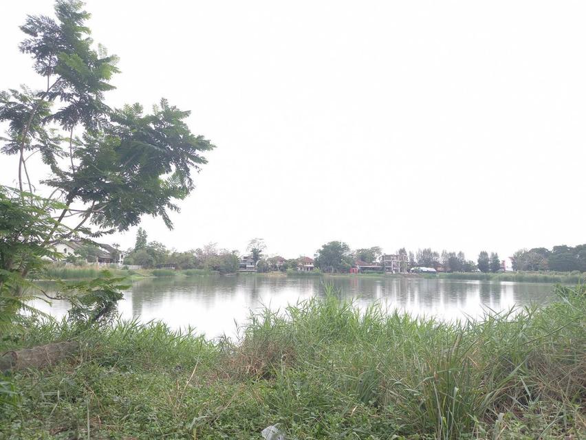 For SaleLandSeri Thai, Ramkhamhaeng Nida : Land along the lake of Sammakorn Village