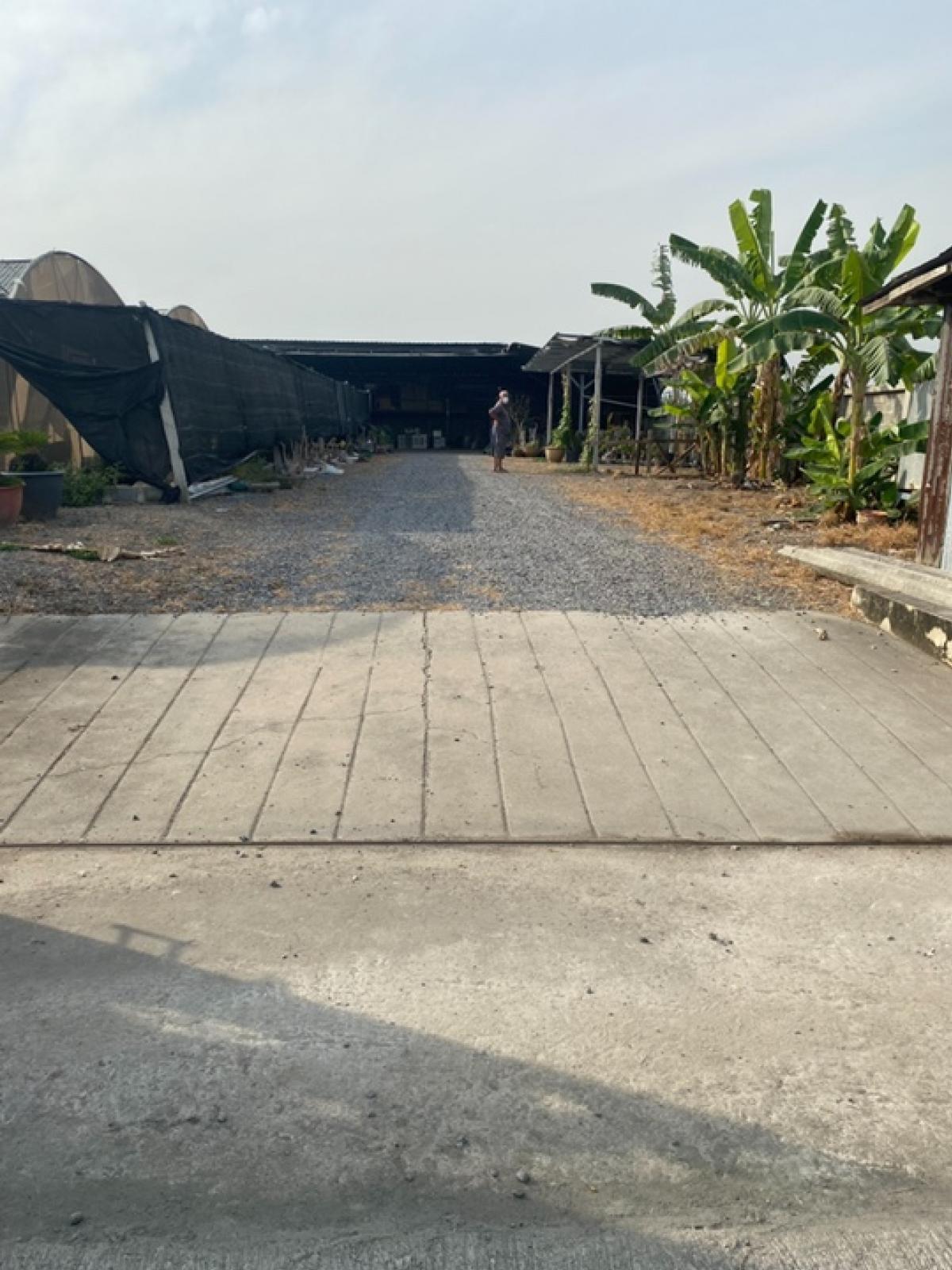 For RentLandPathum Thani,Rangsit, Thammasat : Long-term lease, 3 years, empty land, filled in, with a 2-storey house, 2 bathrooms, with concrete fences on all sides, area 1 rai, land located in Soi Aiyara 10, Khlong Luang Subdistrict, Khlong Luang District, Pathum Thani Province, monthly rent 29,000 