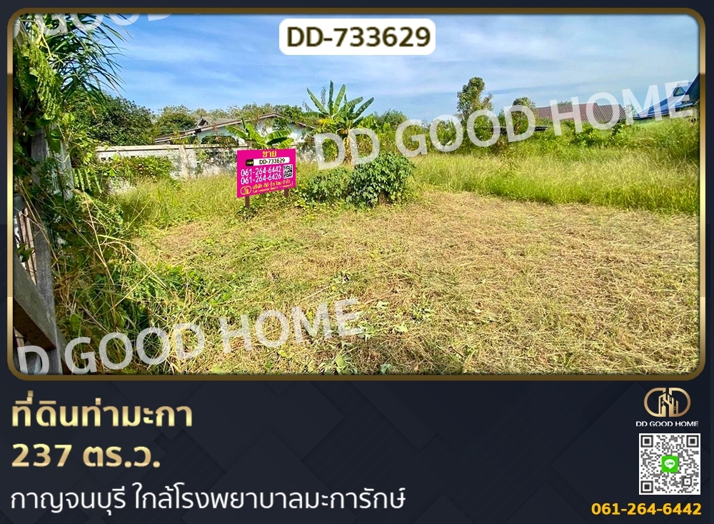 ขายที่ดินกาญจนบุรี : ที่ดินท่ามะกา 237 ตร.ว. กาญจนบุรี ใกล้โรงพยาบาลมะการักษ์