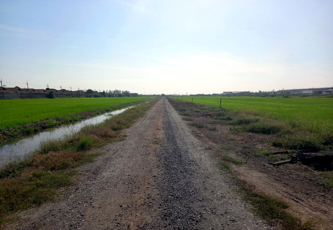 For SaleLandChachoengsao : Land for sale in Khlong Luang, Civil, area of ​​2-1-41 rai. Beautiful plots, Suwinthawong Road, 600 meters.