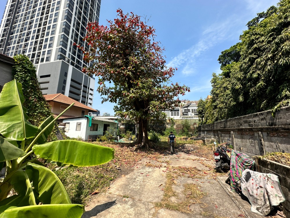 For SaleLandSukhumvit, Asoke, Thonglor : Land for sale Ekkamai Soi 2