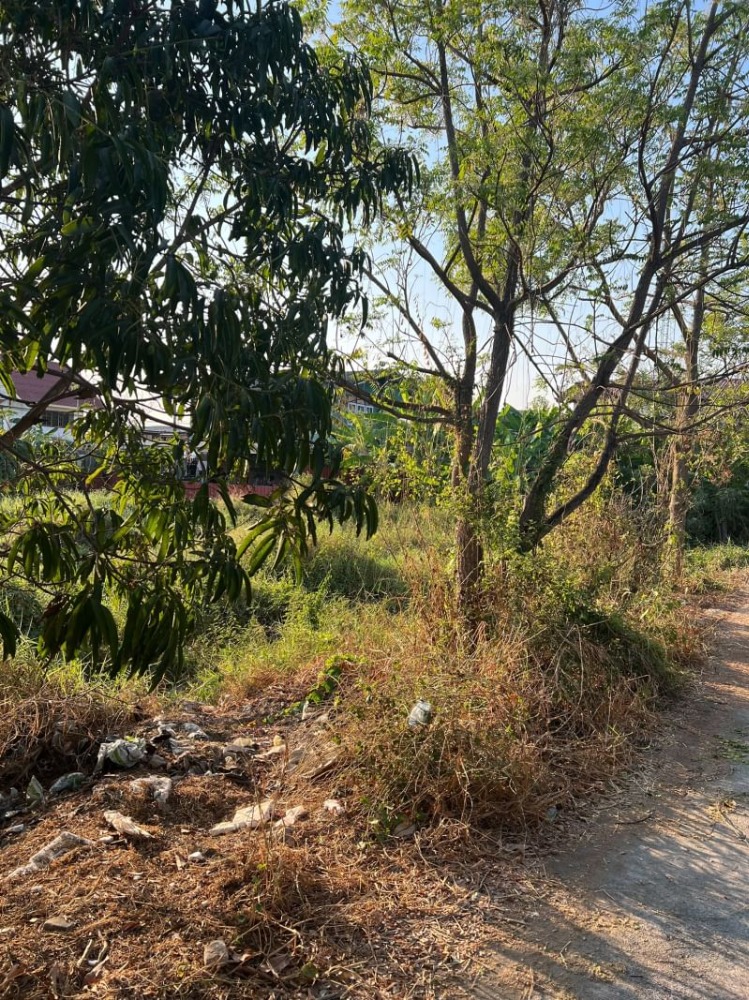 For SaleLandMin Buri, Romklao : For sale: vacant land, Khlong Sam Wa, Pracharuamjai Road