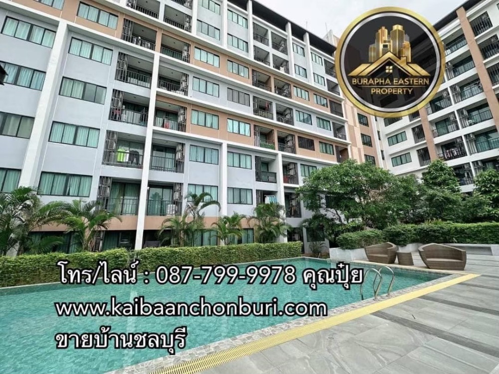 ให้เช่าคอนโดศรีราชา แหลมฉบัง บ้านบึง : ให้เช่าจีคอนโด  ศรีราชา G Condo Srirachaใกล้เซลทรัลศรีราชาใกล้โรบินสันศรีราชา