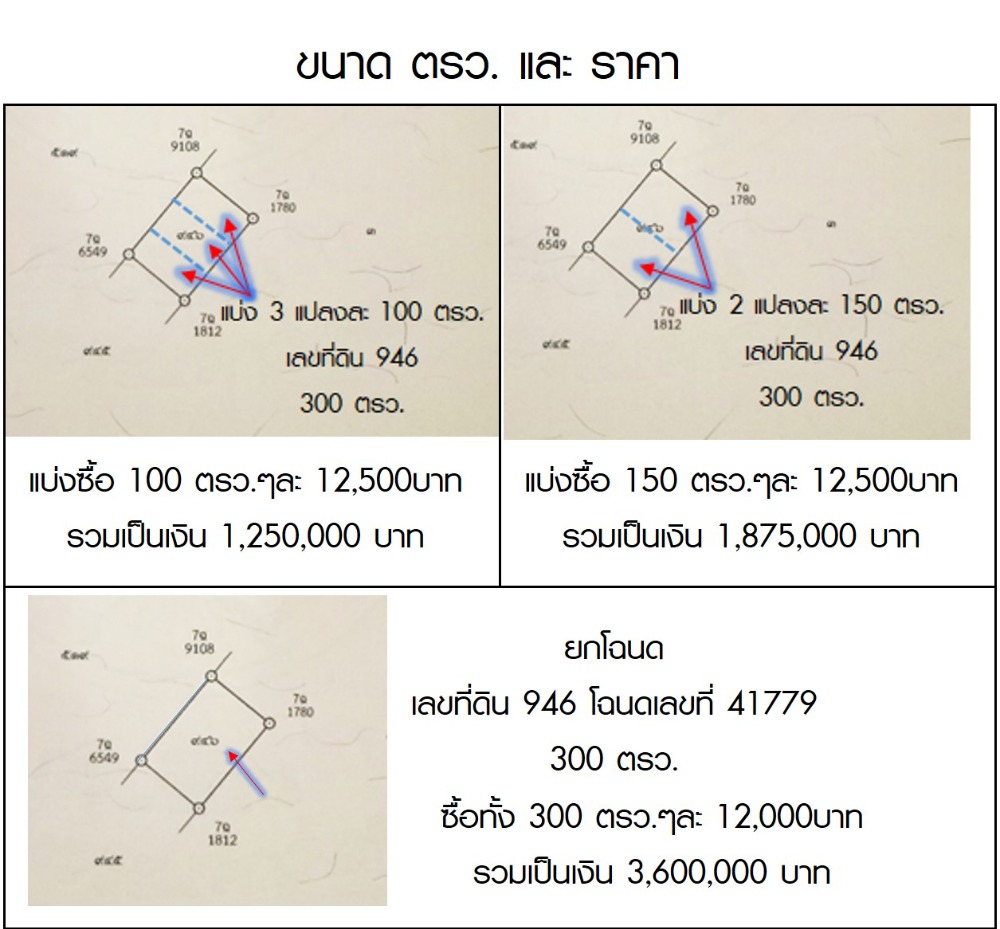 ขายที่ดินฉะเชิงเทรา : ขายที่ดิน สด ผ่อน 100-150-300ตรว. ริมในสุดเสมือนมีโลกส่วนตัว ถนนส่วนตัว หน้ากว้าง 14-21- 42ม. 2 ฝั่งถนน  โฉนดพร้อม ถมแล้ว  ใกล้เทศบาลตำบลบางปะกงพรหมเทพรังสรรค์