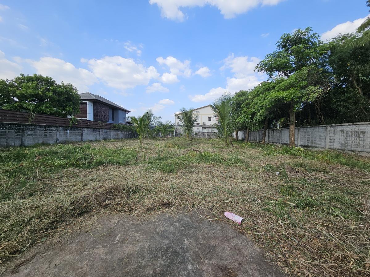 For SaleLandNonthaburi, Bang Yai, Bangbuathong : Land for sale, then Soi Nonthaburi 48 (Soi Phong Sawat 2)