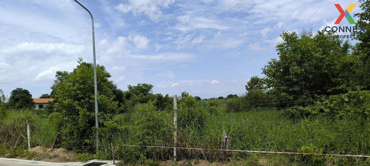 ขายที่ดินปทุมธานี รังสิต ธรรมศาสตร์ : ขายที่ดินในจังหวัดปทุมธานี บางปรอก เมืองปทุมธานี ปทุมธานี CX-115361