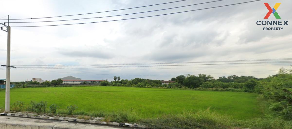 ขายที่ดินปทุมธานี รังสิต ธรรมศาสตร์ : ขายที่ดินเปล่าสามโคก ปทุมธานี คลองควาย สามโคก ปทุมธานี CX-115366