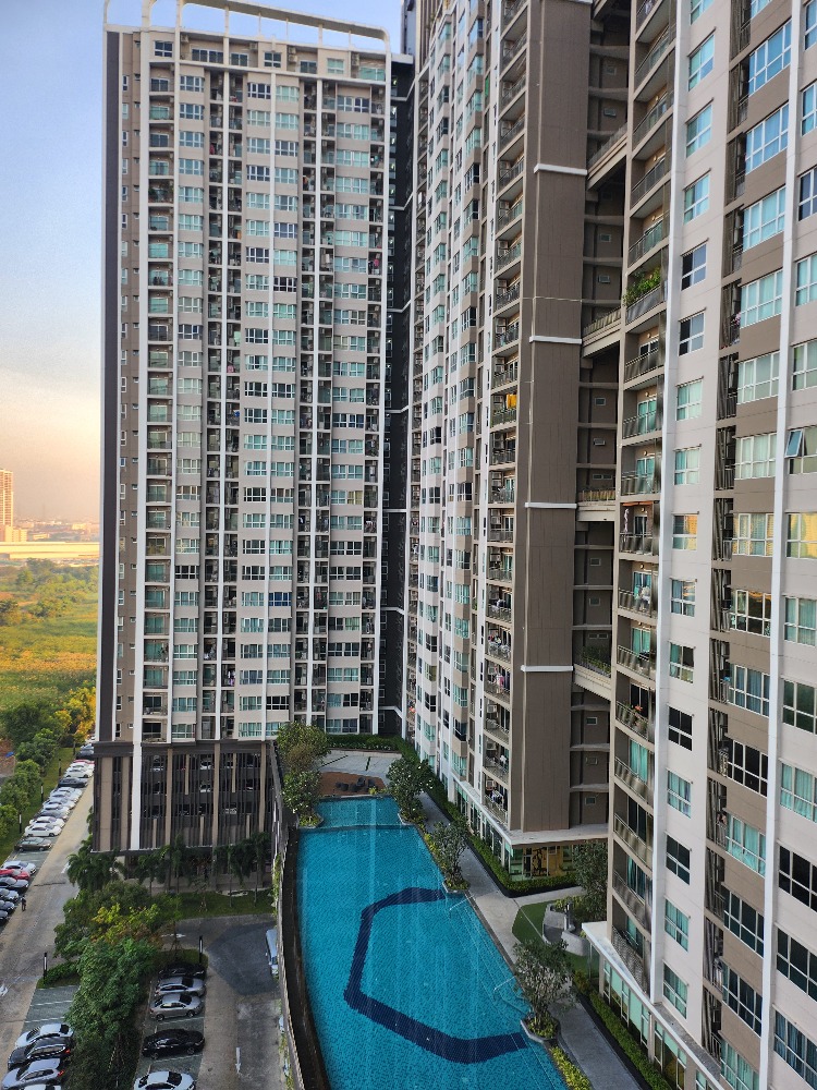 For SaleCondoRama9, Petchburi, RCA : Urgent sale !! Supalai Vernda Rama 9 Condo View Pool View