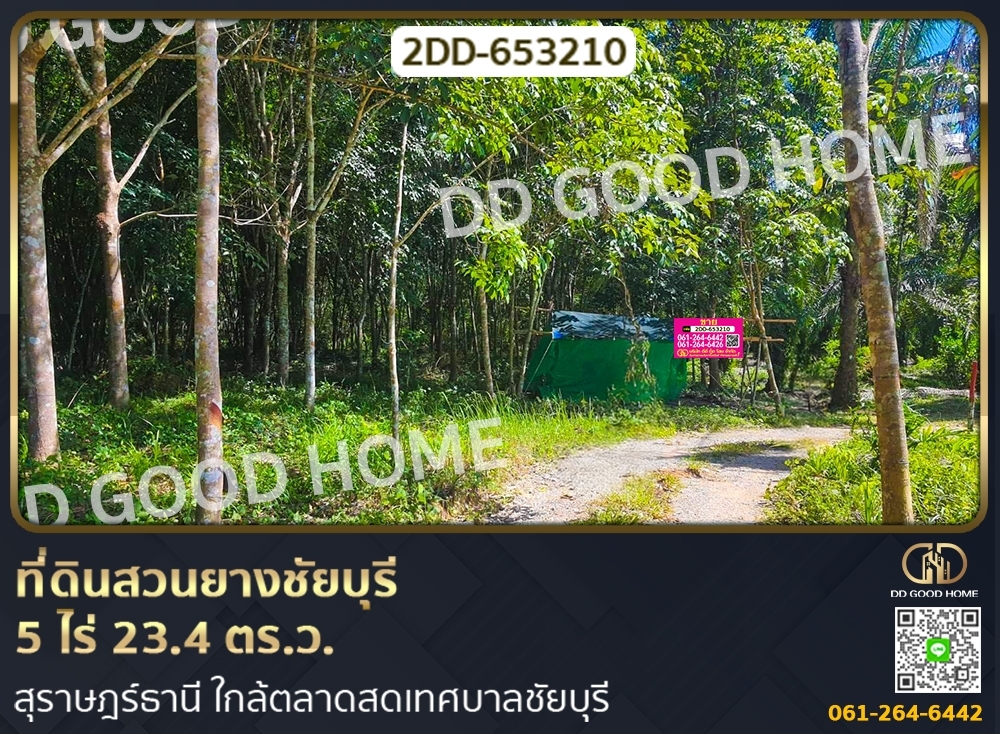 ขายที่ดินสมุย สุราษฎร์ธานี : ที่ดินสวนยางชัยบุรี 5 ไร่ 23.4 ตร.ว. สุราษฎร์ธานี ใกล้ตลาดสดเทศบาลชัยบุรี