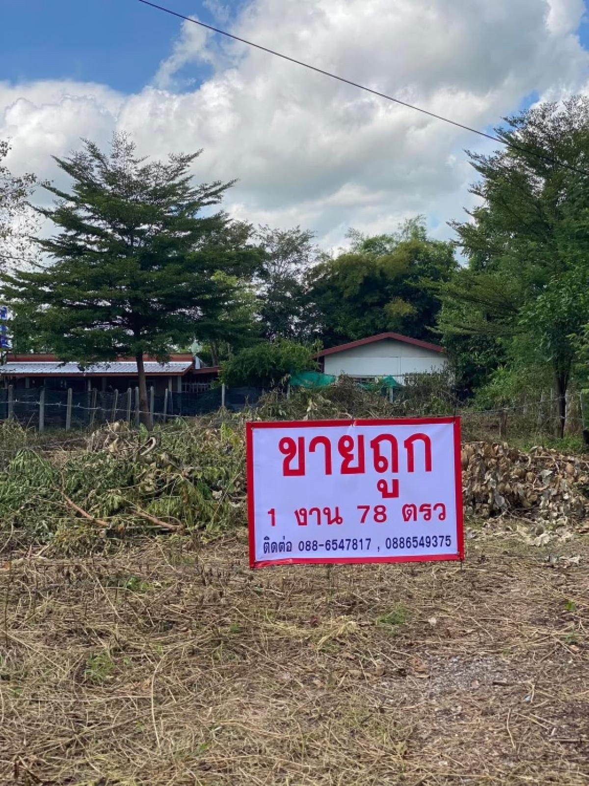 For SaleLandKhon Kaen : Blank Land, Khon Kaen Province, Pink District, Ban Santisuk