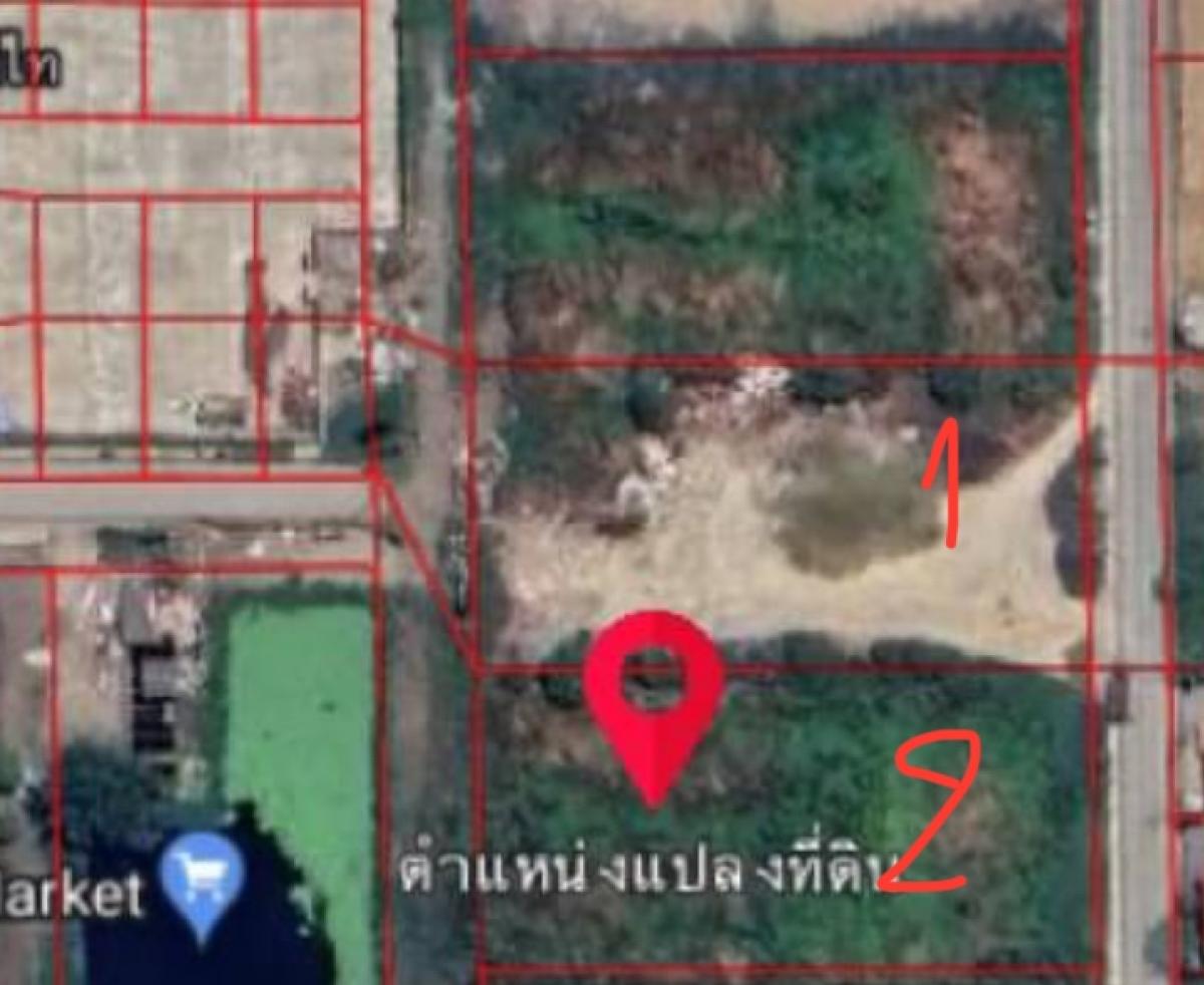 For RentLandPathum Thani,Rangsit, Thammasat : Land for rent : ที่ดินเปล่าให้เช่า/เซ้ง ติดตลาดไท, ตลาดไอยรา ปทุมธานี 🌳