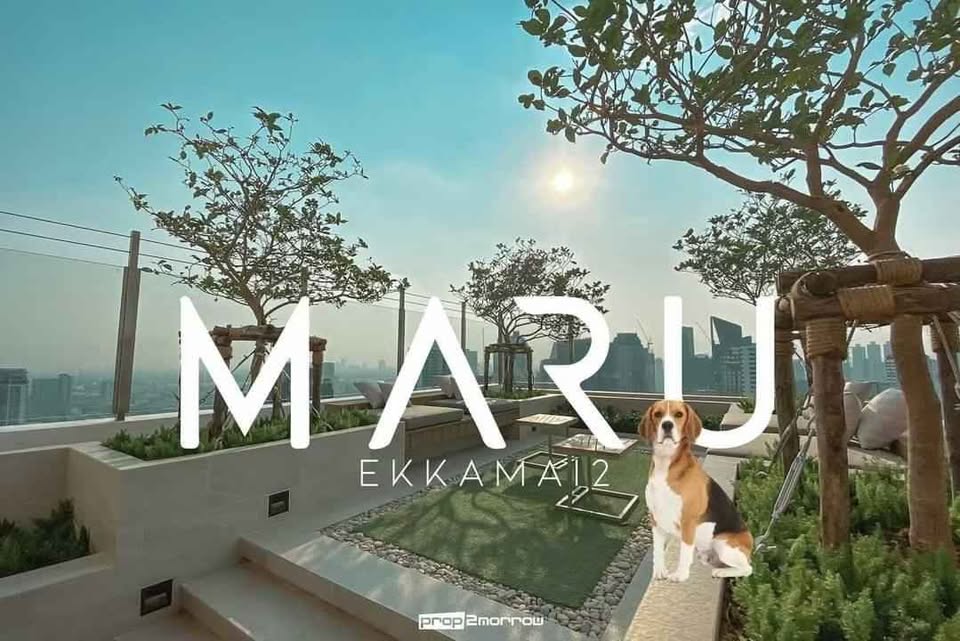 For SaleCondoSukhumvit, Asoke, Thonglor : Code: KJ4985 (Pet Friendly) Sell Maru Ekkamai 2 (Maru Ekamai 2) 📲 Inquire @kjcondo (with @in front)