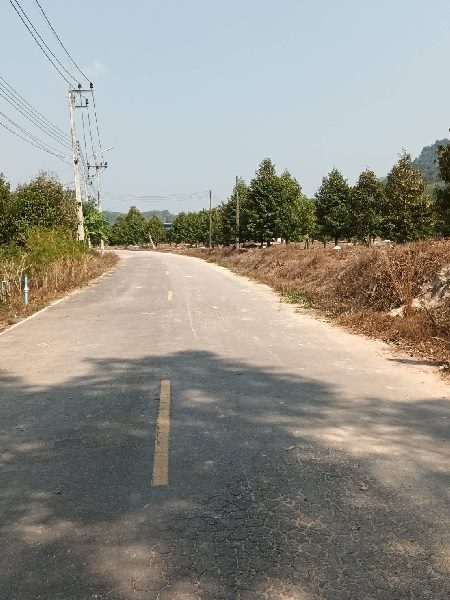 For SaleLandRayong : Land for sale in Rayong with rubber plantations to make money 18,000,000 ฿.