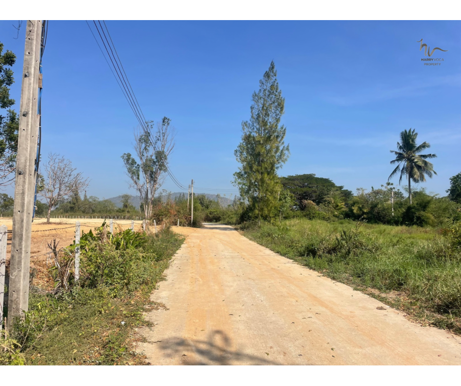 ขายที่ดินหัวหิน ประจวบคีรีขันธ์ : Land for Sale: Large Plot of Land for Sale in Wang Pong, Pranburi (Property ID: HV L-08)