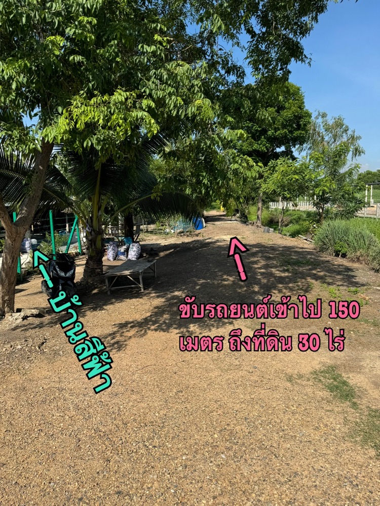 ขายที่ดินนครนายก : ขายที่ดิน 30 ไร่ ที่ อ. บ้านนา จ. นครนายก ใกล้โรงพยาบาลคณะแพทย์ศาสตร์-มหาวิทยาลัยศรีนครินทร์วิโรจน์ และใกล้สถานีรถไฟชุมทางแก่งคอย