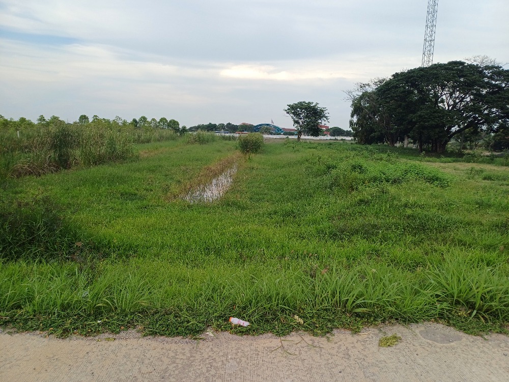 For SaleLandPathum Thani,Rangsit, Thammasat : Land for sale 1 rai 2 ngan 18 sq.who, next to the road in front of the Science School, Chulabhorn, Pathum Thani