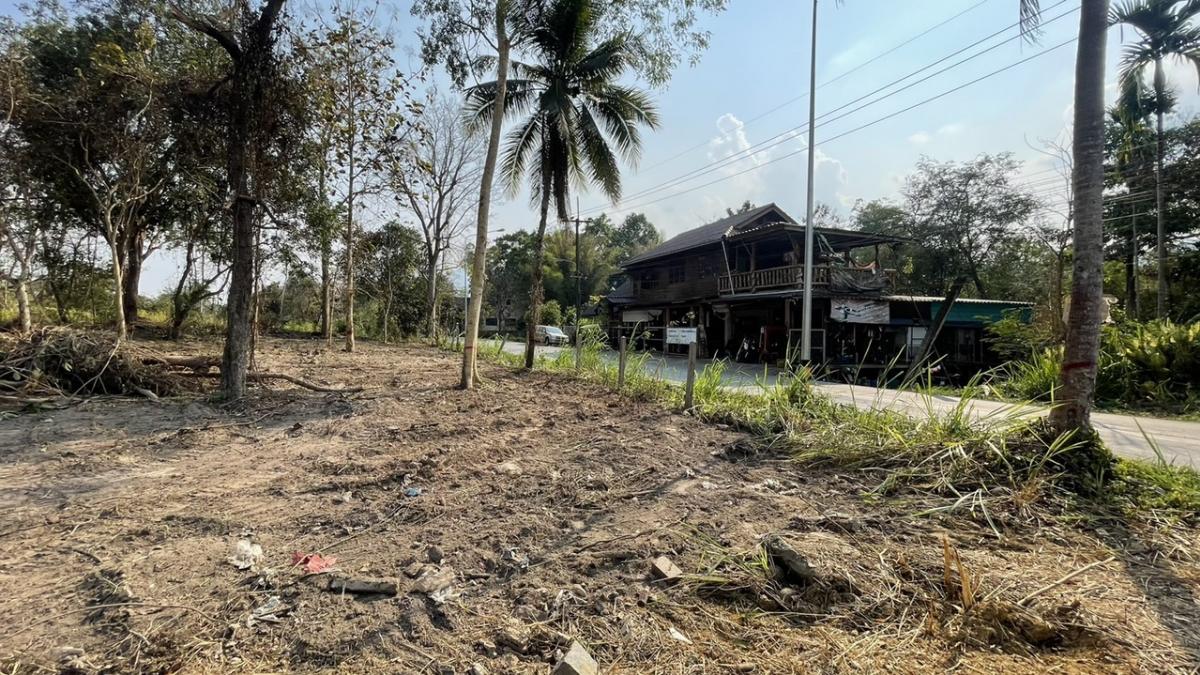 For SaleLandChiang Mai : Beautiful land for sale in Mae Rim, Chiang Mai, suitable for a resort Build accommodation Quiet atmosphere Convenient near Highway 1096