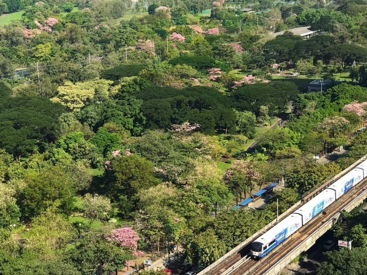 ขายคอนโดสะพานควาย จตุจักร : ขาย The Line จตุจักร หมอชิต59 ตรม 2 นอน 2 น้ำวิวสวนสวย 700 ไร่ ติดต่อ 0982491797 มิลลิ