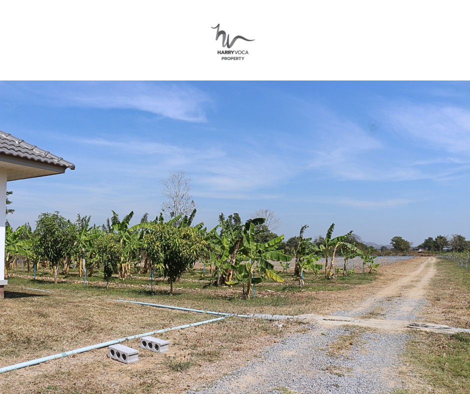 ขายบ้านหัวหิน ประจวบคีรีขันธ์ : For Sale: Huge Land with Modern House in Pranburi near Makro Pranburi (Property ID: HV S-55)