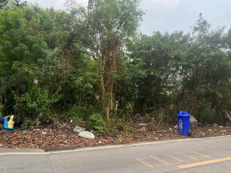 For SaleLandPhutthamonthon, Salaya : Land for sale on Soi Thawi Watthana-Kanchanaphisek 24  That has been filed in and out of 2 ways of Phutthamonthon Sai 3 Road And Thawi Watthana-Kanchanaphisek Road